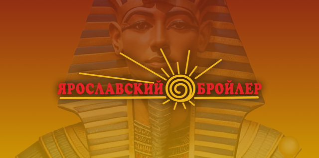 "Ярославский бройлер - код фараона"| создание сайта